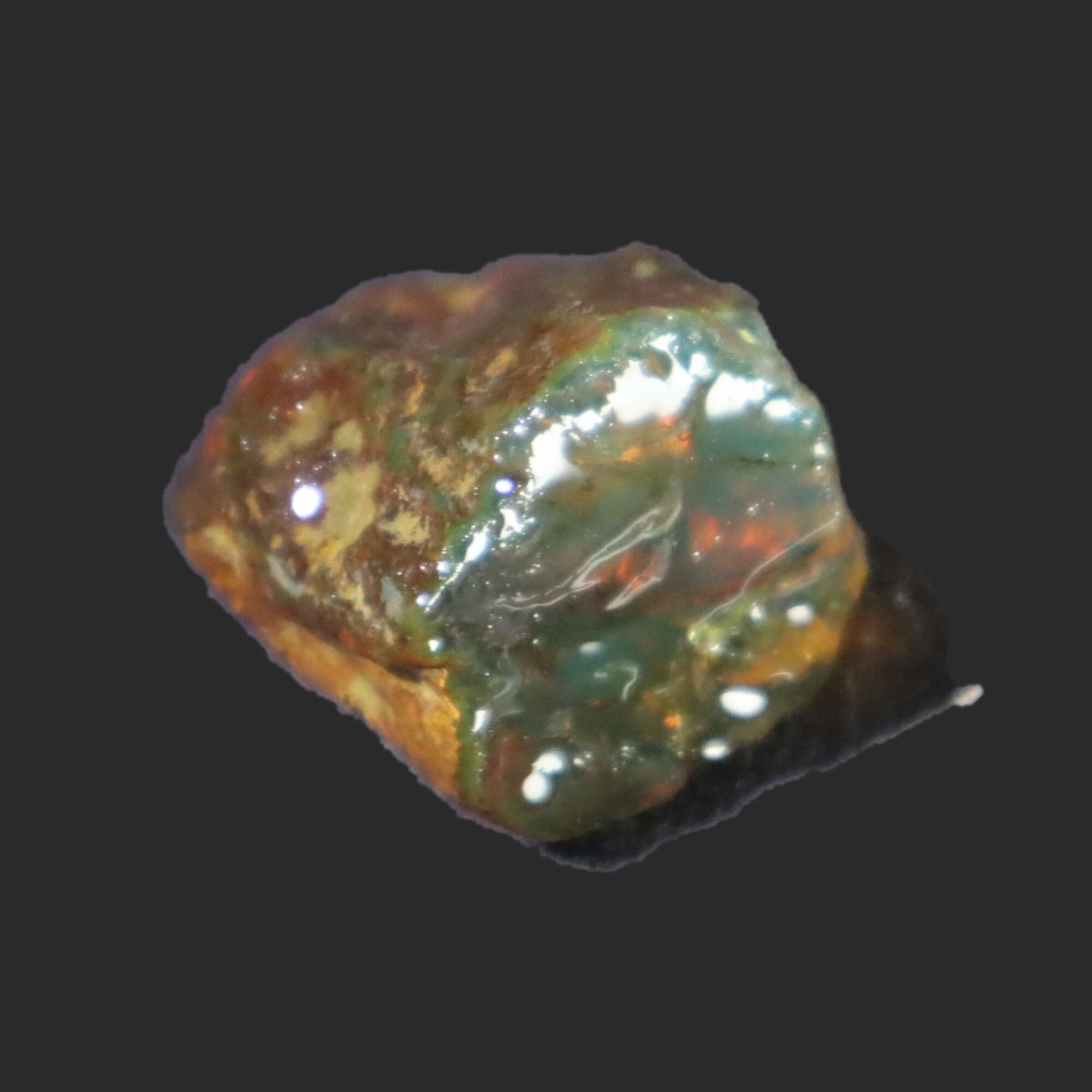 Naturally formed cognac blue rough specimen Dominican amber 31mm – photo 16
