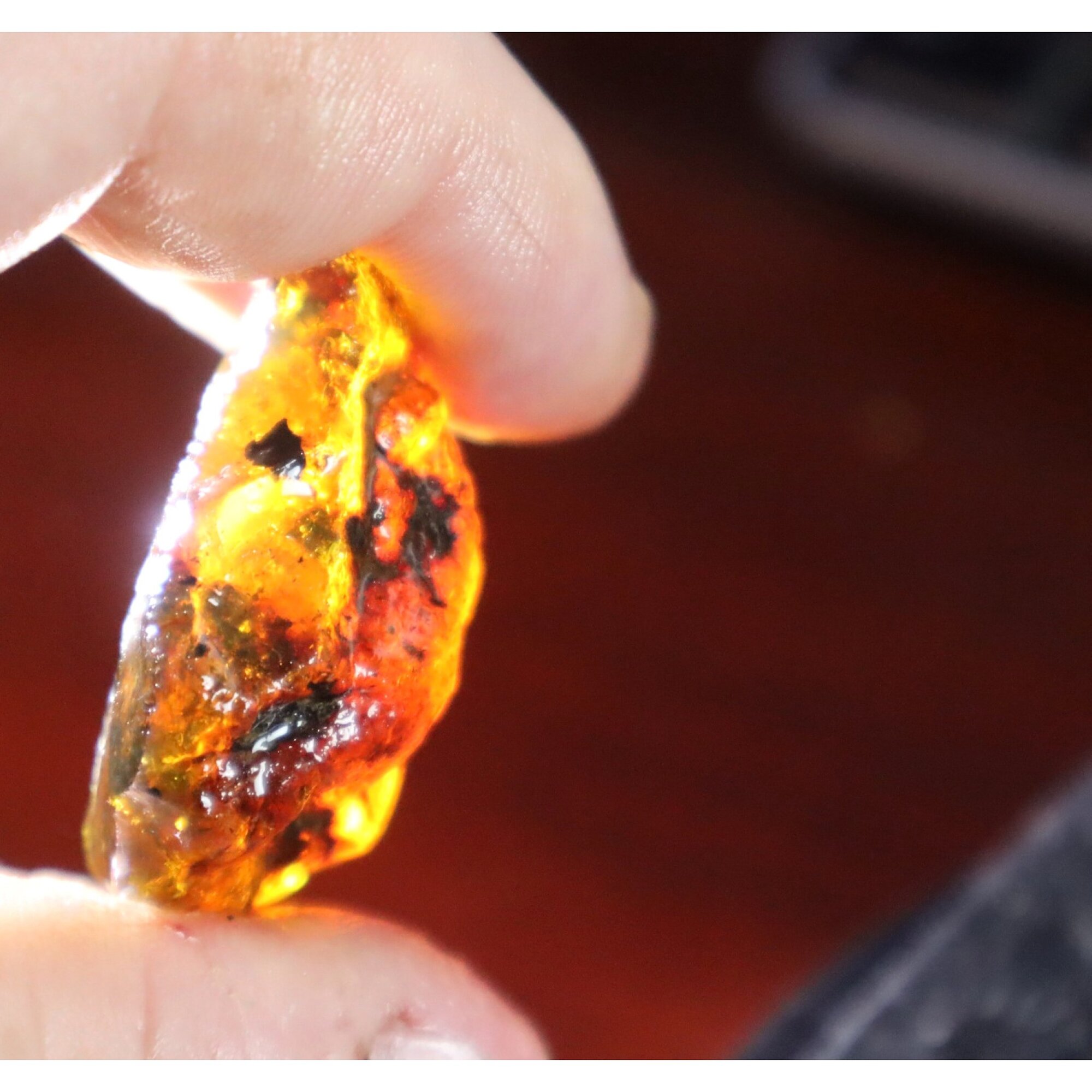 Real green blue rough specimen Dominican amber 42mm – photo 6