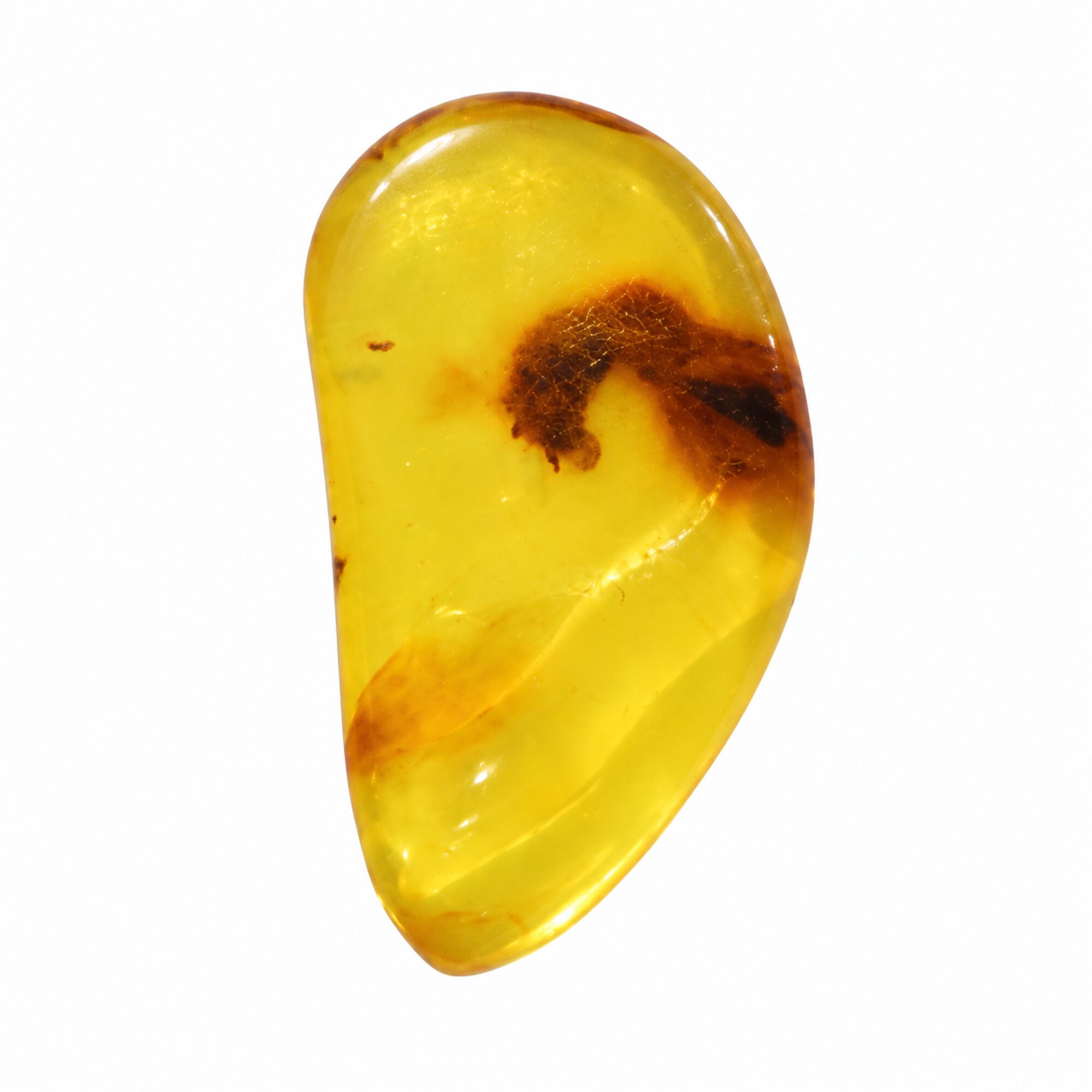 Untreated deep bkue Dominican amber cabochon – photo 3