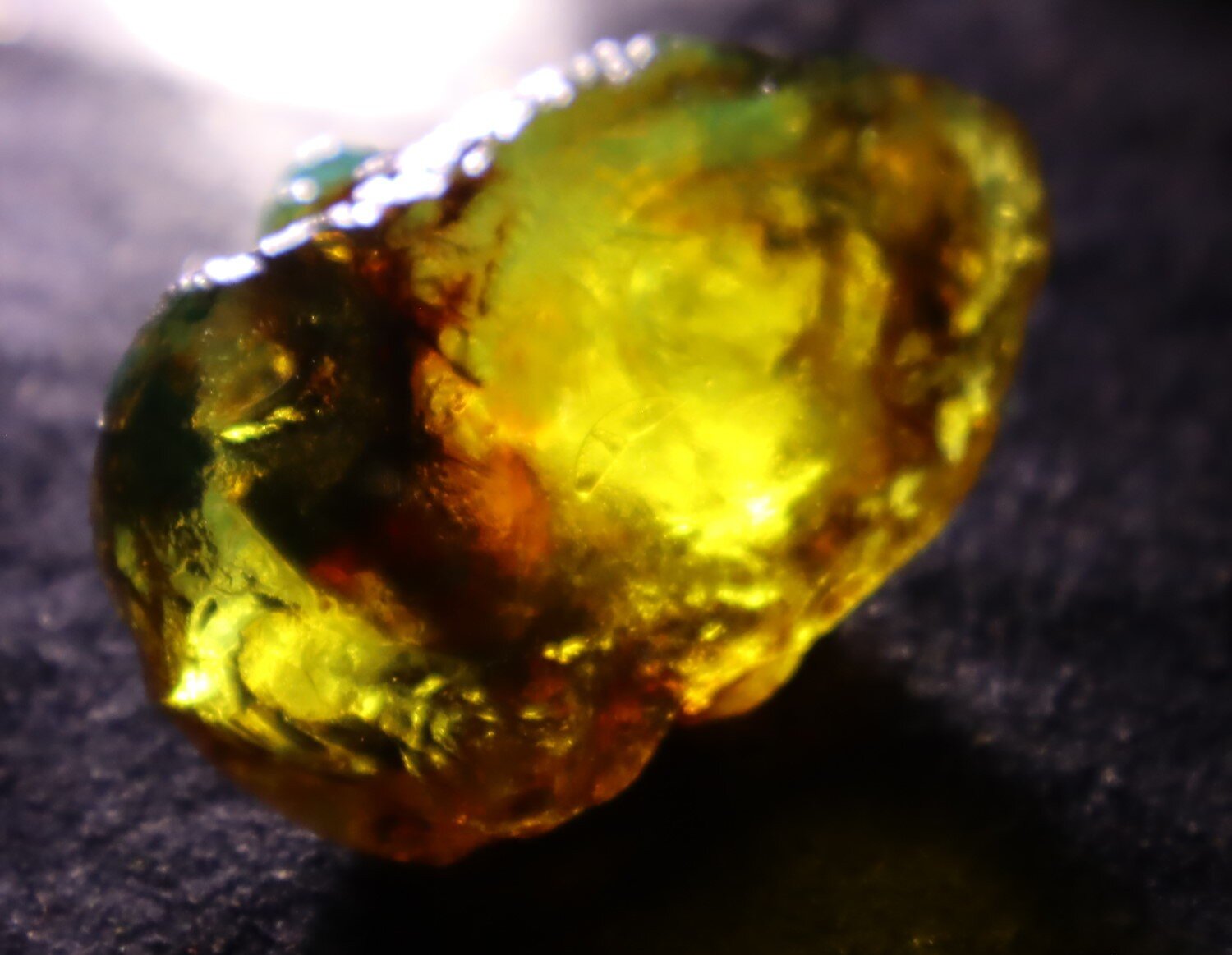 Splendid Natural Dominican Clear Orange Blue Amber Rough Specimen 47mm 18g – photo 9