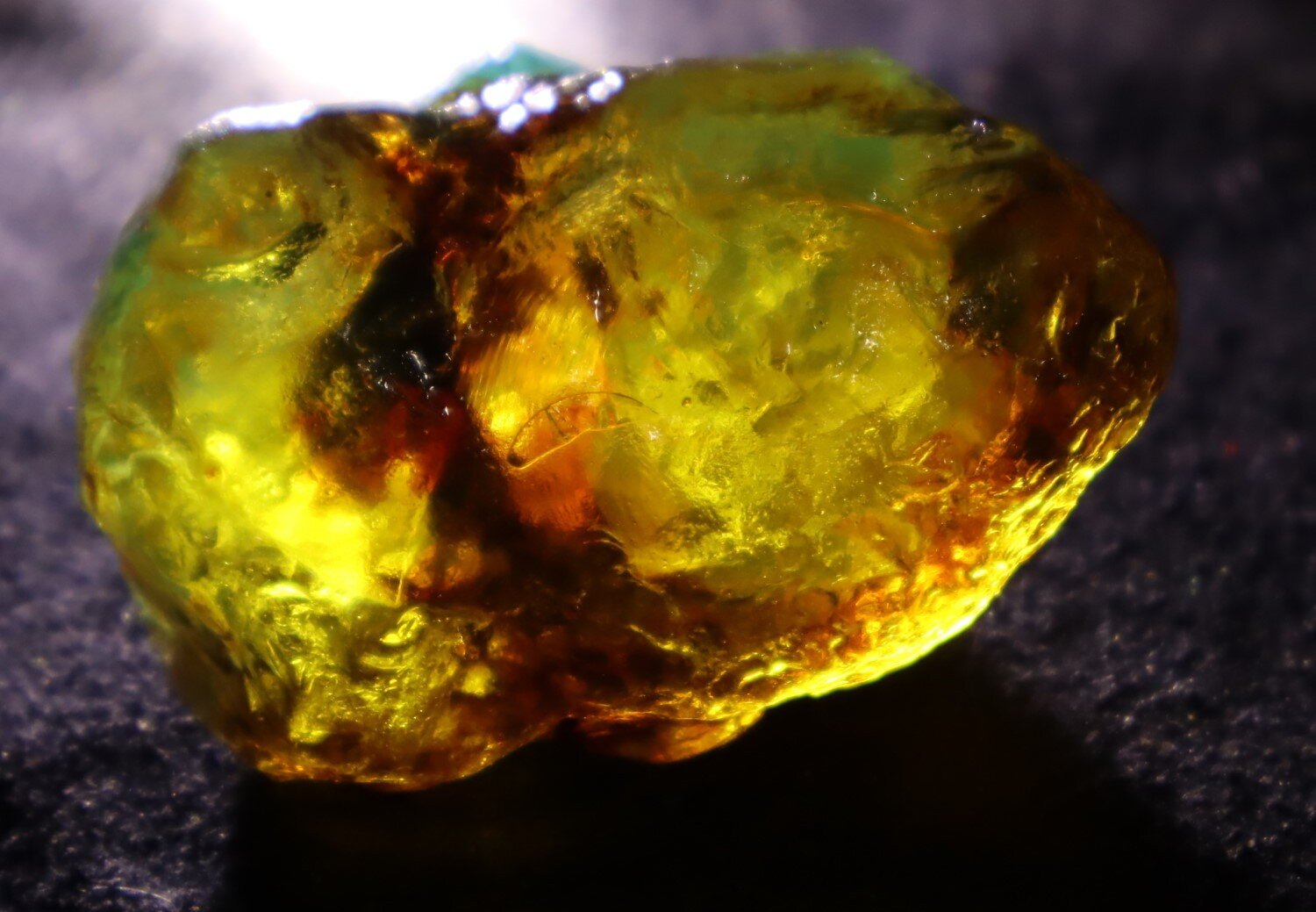 Splendid Natural Dominican Clear Orange Blue Amber Rough Specimen 47mm 18g – photo 10