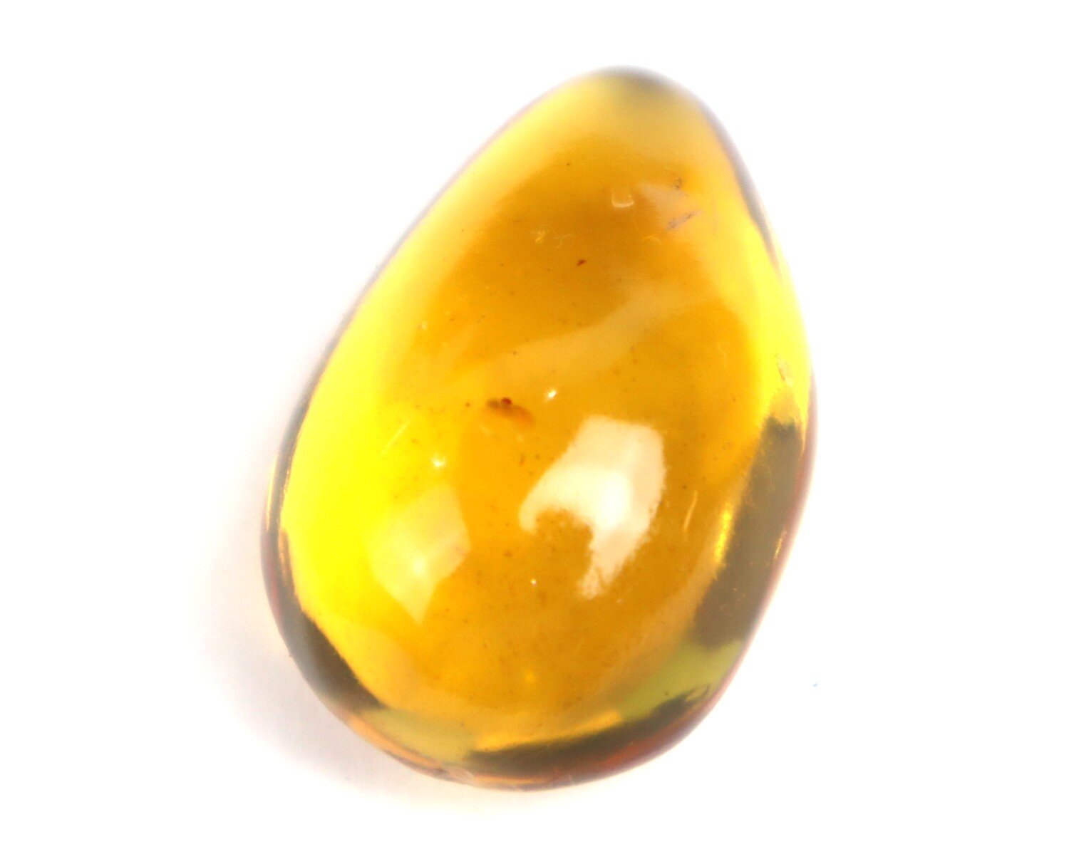 🦋 Natural Dominican Golden Amber with Preserved Organic Inclusion – 34mm 🦋 – photo 5