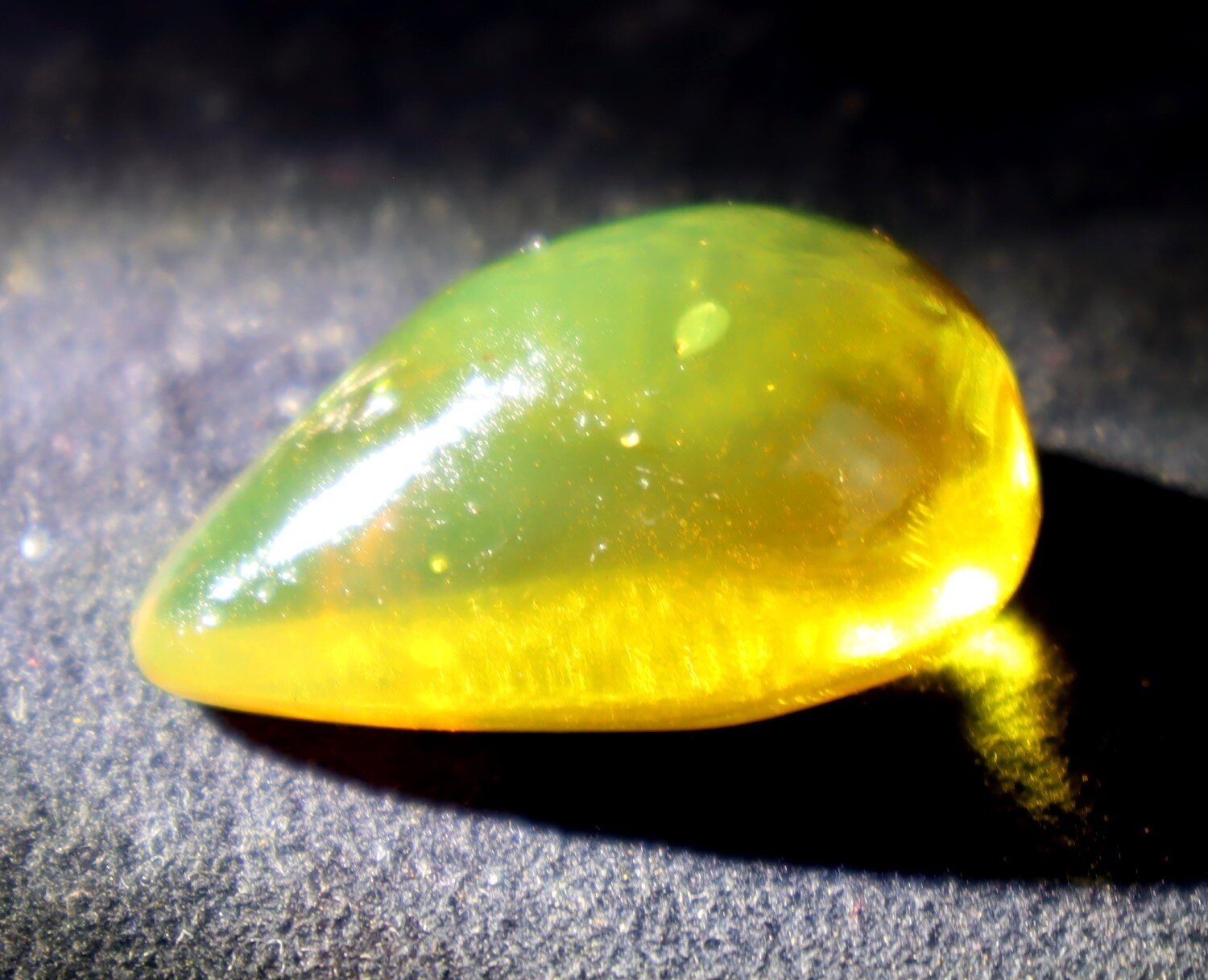 🦋 Natural Dominican Golden Amber with Preserved Organic Inclusion – 34mm 🦋 – photo 11