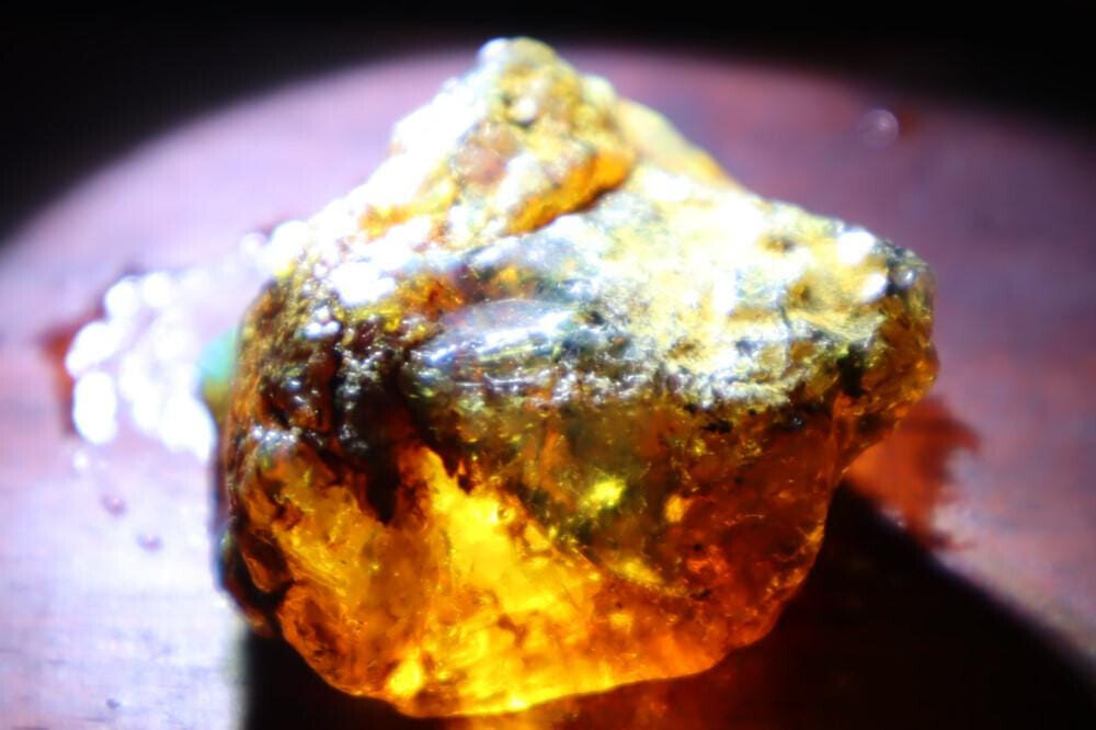 Excellent Natural Dominican Clear Sky Blue Amber Rough Specimen 35mm 12.2g – photo 7