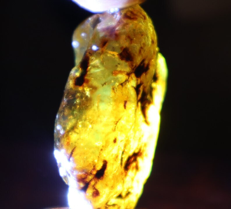 Lovely Natural Dominican Crystal Clear Sky Blue Amber Rough Specimen 40mm 10.5g – photo 9