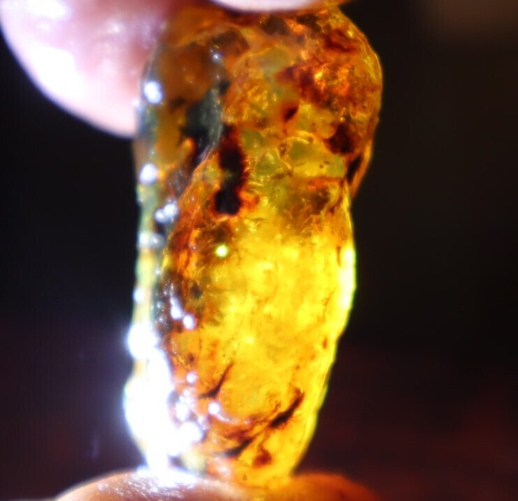Lovely Natural Dominican Crystal Clear Sky Blue Amber Rough Specimen 40mm 10.5g – photo 10