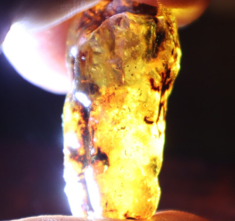 Lovely Natural Dominican Crystal Clear Sky Blue Amber Rough Specimen 40mm 10.5g – photo 12