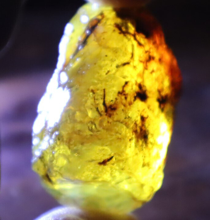 Impressive Natural Dominican Crystal Clear Yellow Blue Amber Rough Specimen 40mm – photo 8