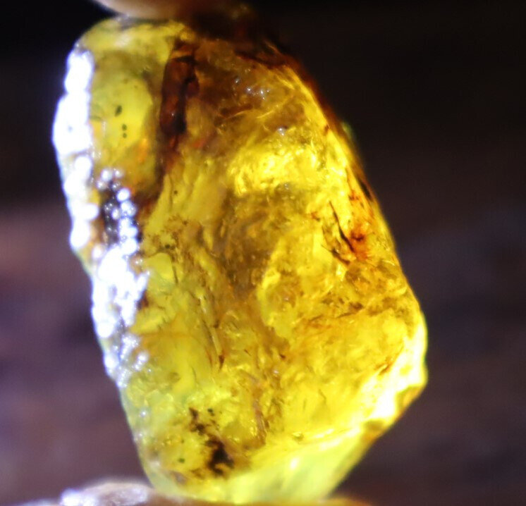 Impressive Natural Dominican Crystal Clear Yellow Blue Amber Rough Specimen 40mm – photo 9