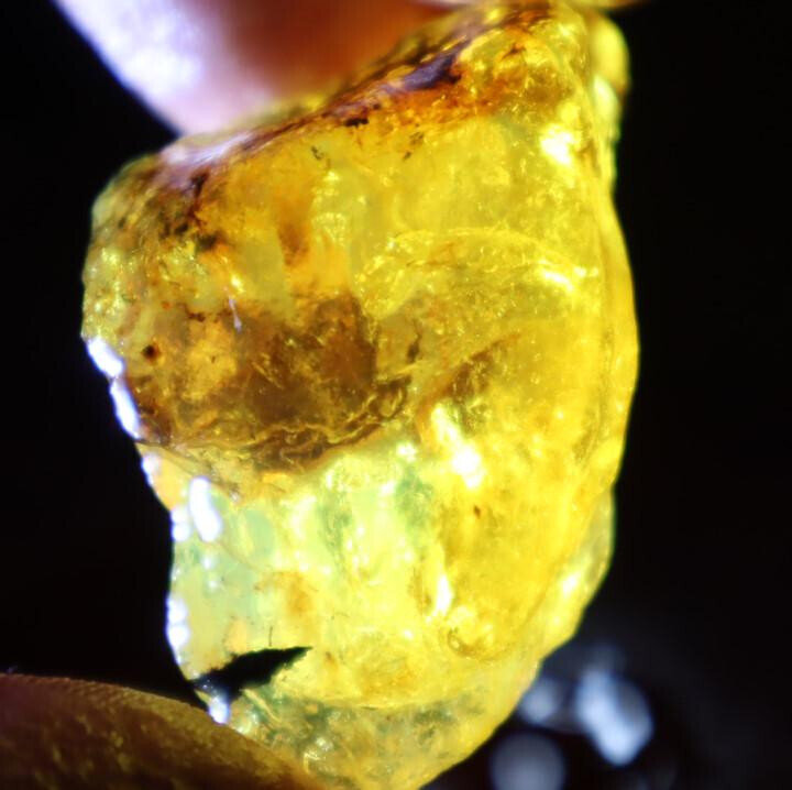 Exquisite Natural Dominican Crystal Clear Yellow Blue Amber Rough Specimen 46mm – photo 8