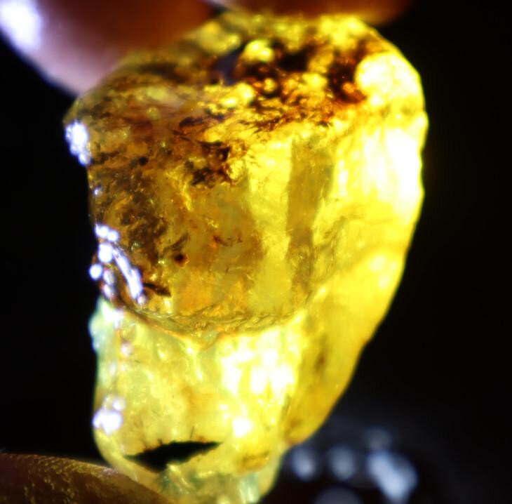 Exquisite Natural Dominican Crystal Clear Yellow Blue Amber Rough Specimen 46mm – photo 10