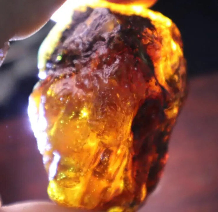 Beautiful Natural Dominican Clear Royal Blue Green Amber Rough Specimen 51mm 38g – photo 3
