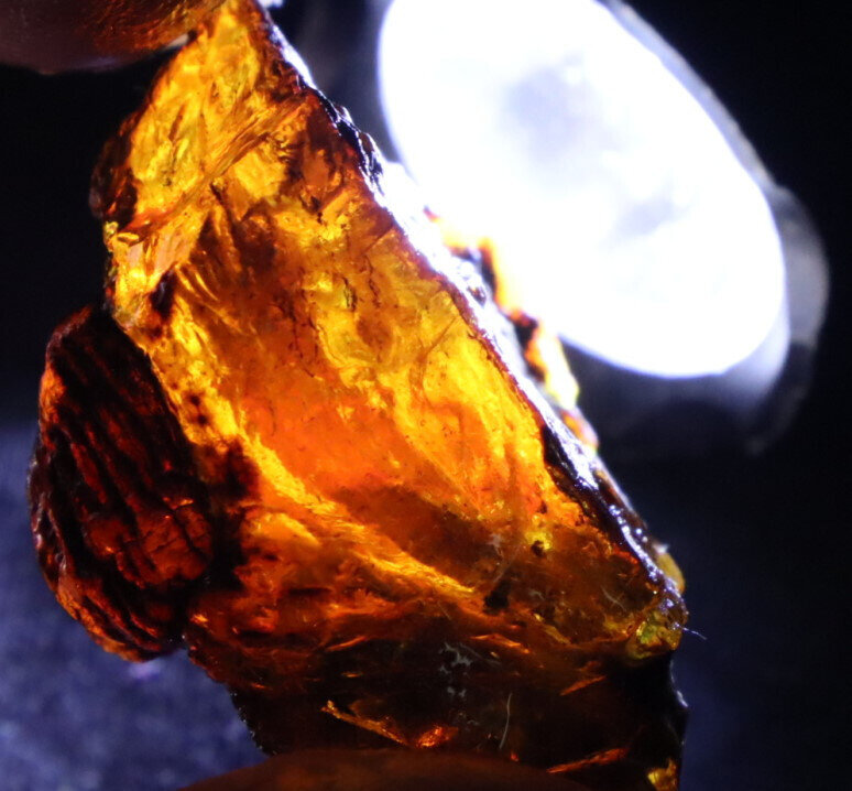Charming Design Natural Dominican Clear Green Blue Amber Rough Specimen 42mm 16g – photo 9