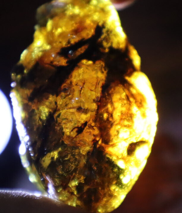 Beautiful Natural Dominican Clear Light Blue Green Amber Rough Specimen 52mm 44g – photo 14
