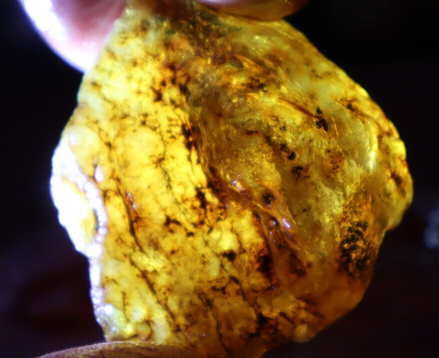 Natural Dominican Crystal Clear Light Blue Yellow Amber Rough Specimen 45mm 21g – photo 12