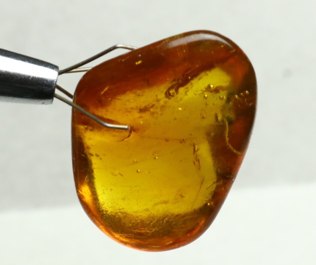 Lovely Natural Dominican Clear Yellow Amber Fossil Insect Fleas Polished Stone 3 – photo 12