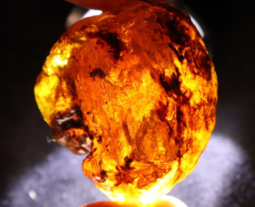 Impressive Natural Dominican Clear Sky Blue Amber Rough Specimen 34mm 15g – photo 5