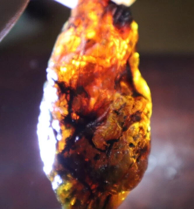 Beautiful Natural Dominican Clear Yellow Blue Amber Rough Specimen 43mm 19.7g – photo 7