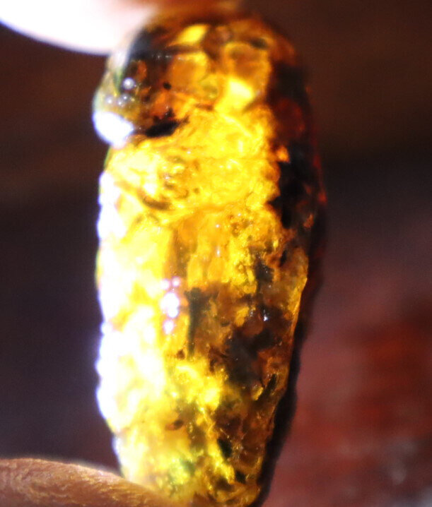 Beautiful Natural Dominican Clear Light Blue Amber Rough Specimen 47mm 12.5g – photo 10