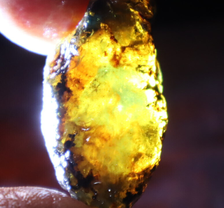 Lovely Natural Dominican Clear Sky Blue Amber Rough Specimen 38mm 7.4g – photo 8