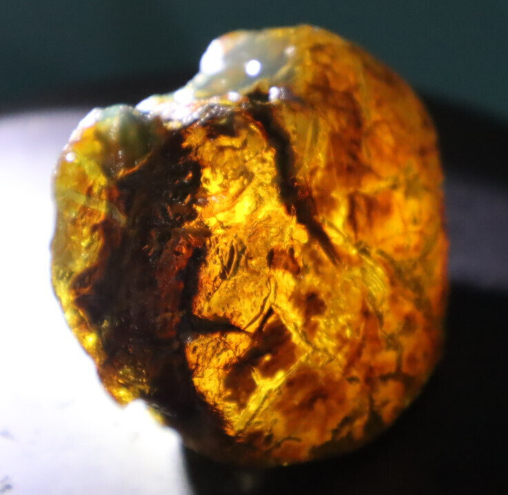 Charming Design Nat. Dominican Clear Blue Green Amber Rough Specimen 61mm 46.5g – photo 12