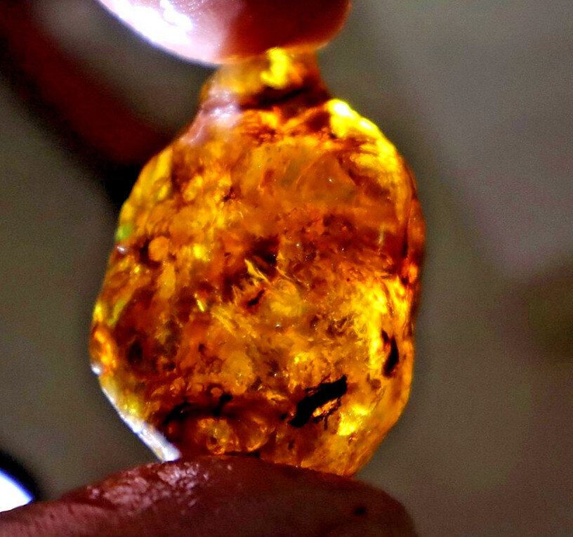 Fine Rare Sky Blue Dominican Amber Rough Specimen Chunk 39mm 10g – photo 7