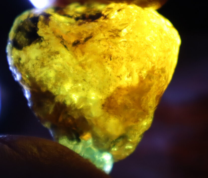 Exquisite Natural Dominican Clear Golden Blue Amber Rough Specimen 37mm 16.8g – photo 15