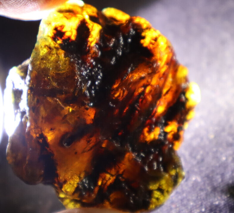 Charming Design Natural Dominican Clear Sky Blue Amber Rough Specimen 51mm 22g – photo 7