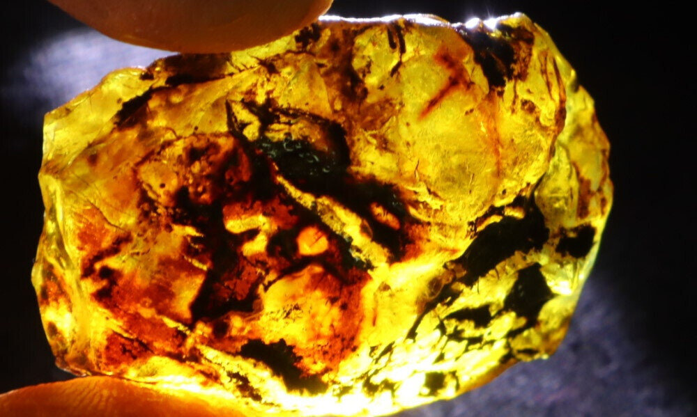 Exquisite Natural Dominican Crystal Clear Sky Blue Amber Rough Specimen 40mm 8g – photo 9