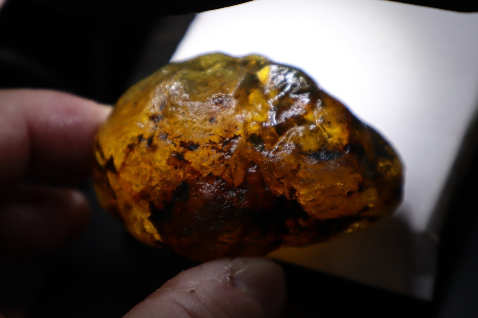 Impressive Natural Dominican Clear Light Blue Amber Rough Specimen 67mm 48.9g – photo 13