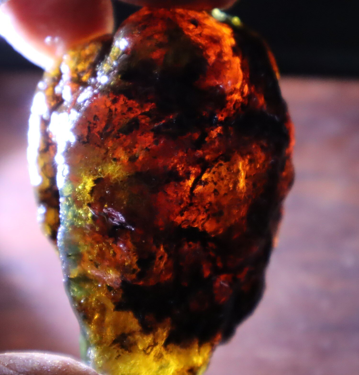 Beautiful Natural Dominican Clear Green Blue Amber Rough Specimen 57mm 38g – photo 9