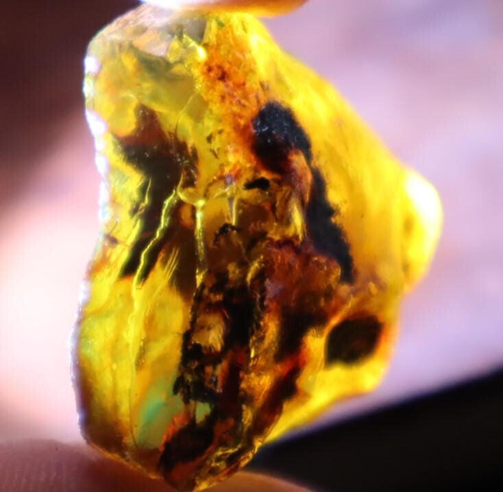 Finest Natural Dominican Clear Sky Blue Amber Rough Specimen 32mm 7.5g – photo 9