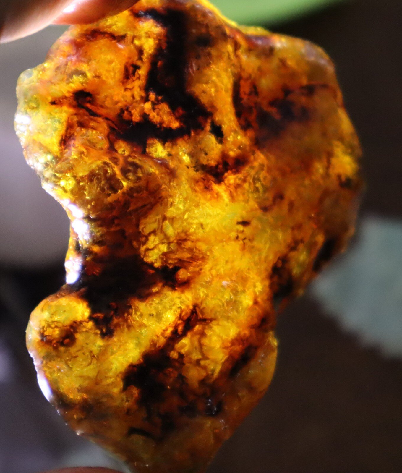 Beautiful Natural Dominican Translucent Green Blue Amber Rough Specimen 66mm 35g – photo 11