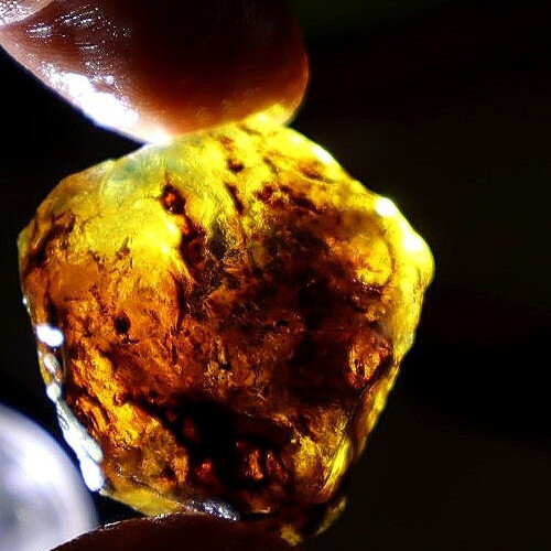 Genuine Green Blue Dominican Amber Rough Specimen Chunk 31mm 7.1g – photo 6