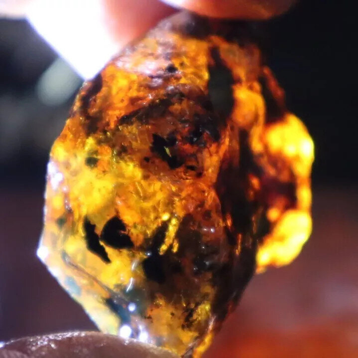 Excellent Natural Dominican Clear Sky Blue Amber Rough Specimen 41mm 15.5g – photo 7