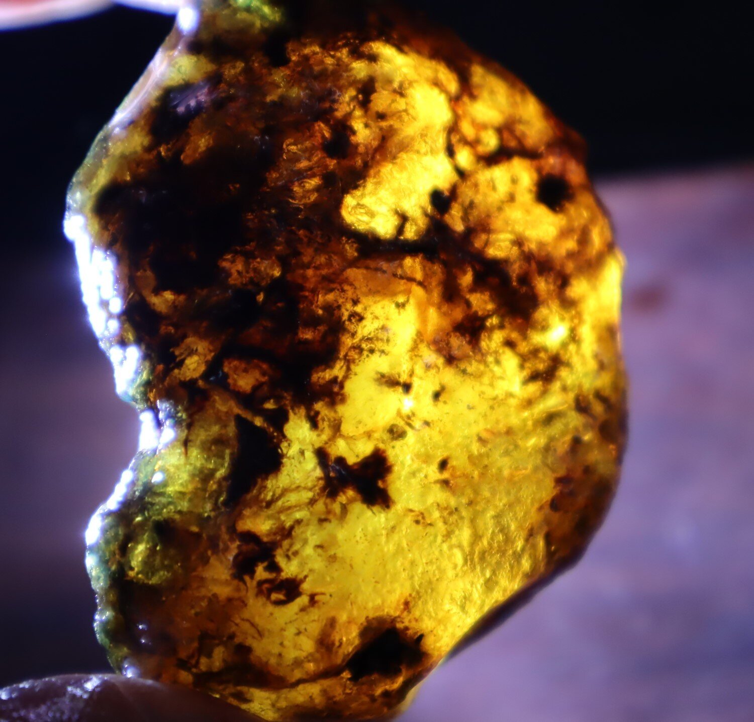 Natural Dominican Blue Green Amber Rough Specimen 51mm 30g Clear – photo 6