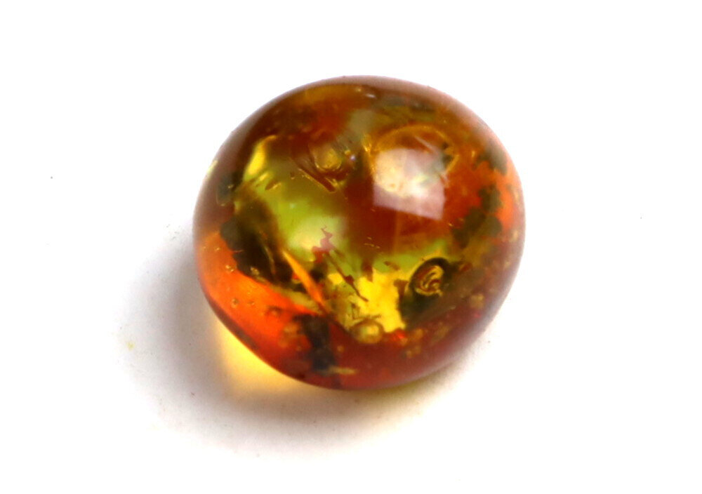 Natural Dominican Clear Amber Stone Rare bee or sphecoid wasp Insect Fossil – photo 5