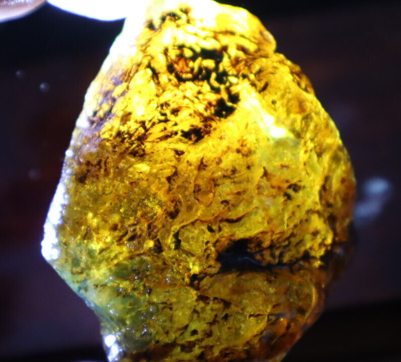 Finest Dominican Crystal Clear Light Blue Yellow Amber Rough Specimen 65mm 38.6g – photo 8