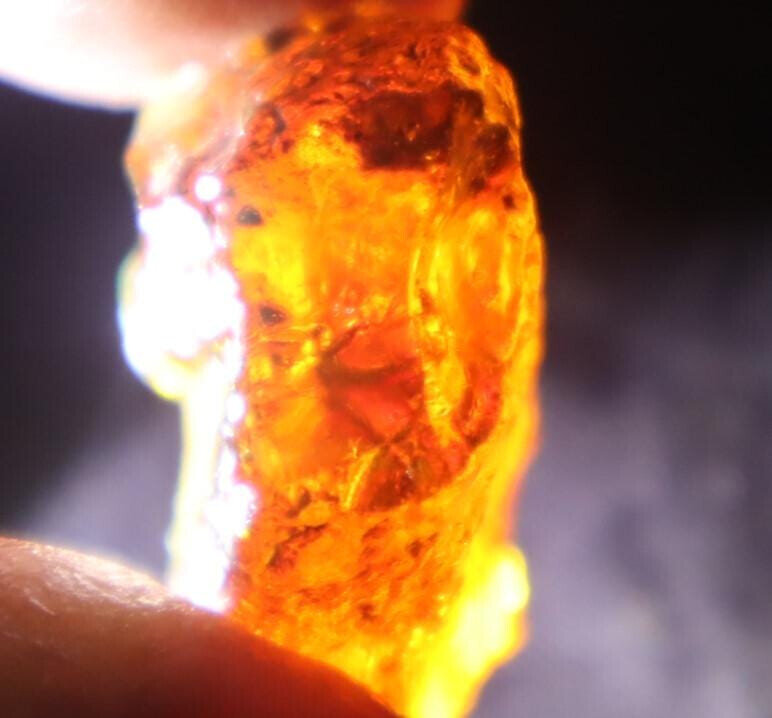 Exquisite Natural Dominican Clear Sky Blue Amber Rough Specimen 44mm 9.7g – photo 6