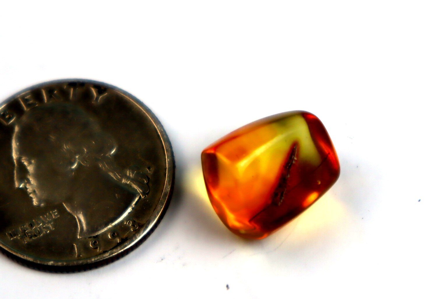 Natural Dominican Amber Polished 15mm with parasitic wasp insect fossil – photo 4