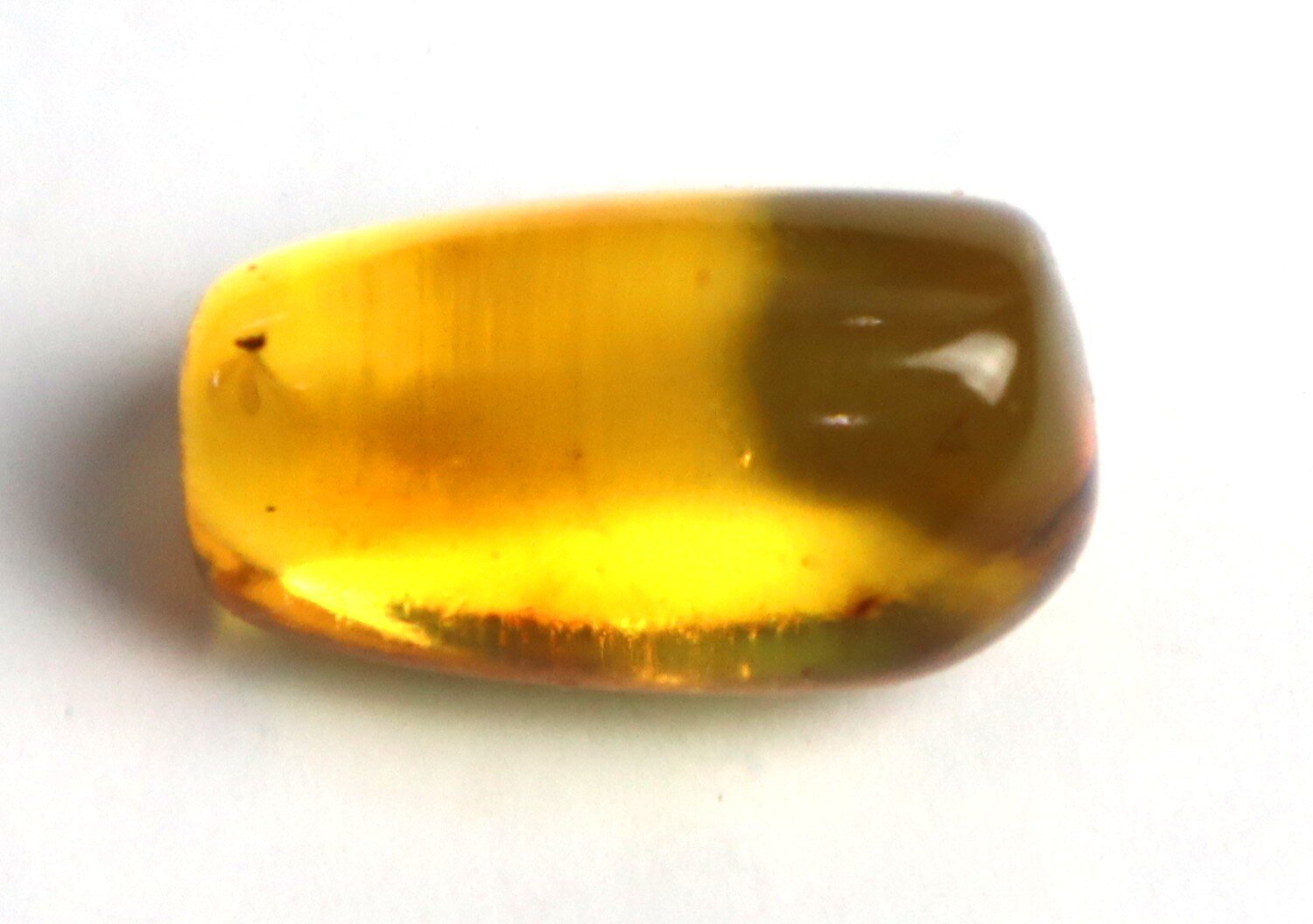 Beautiful Natural Dominican Amber Flying Insect Flies Fossil Stone 19mm – photo 5