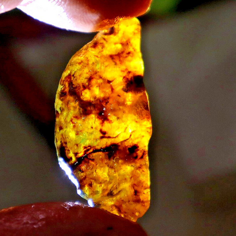 Authentic Beautiful Sky Blue Dominican Amber Rough Specimen Chunk 40mm 3.9g – photo 7