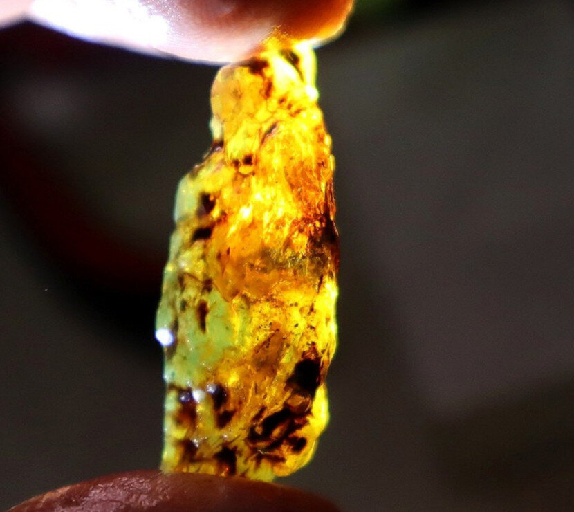 Authentic Beautiful Sky Blue Dominican Amber Rough Specimen Chunk 40mm 3.9g – photo 8