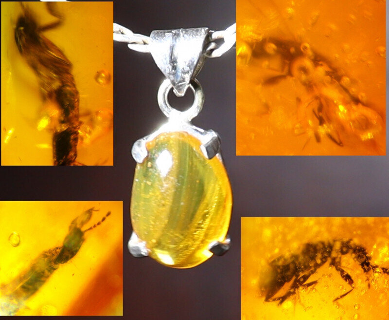 Beautiful Natural Amber .925 Sterling Silver Pendant Lots Fossil Insect Bug 26mm – photo 3