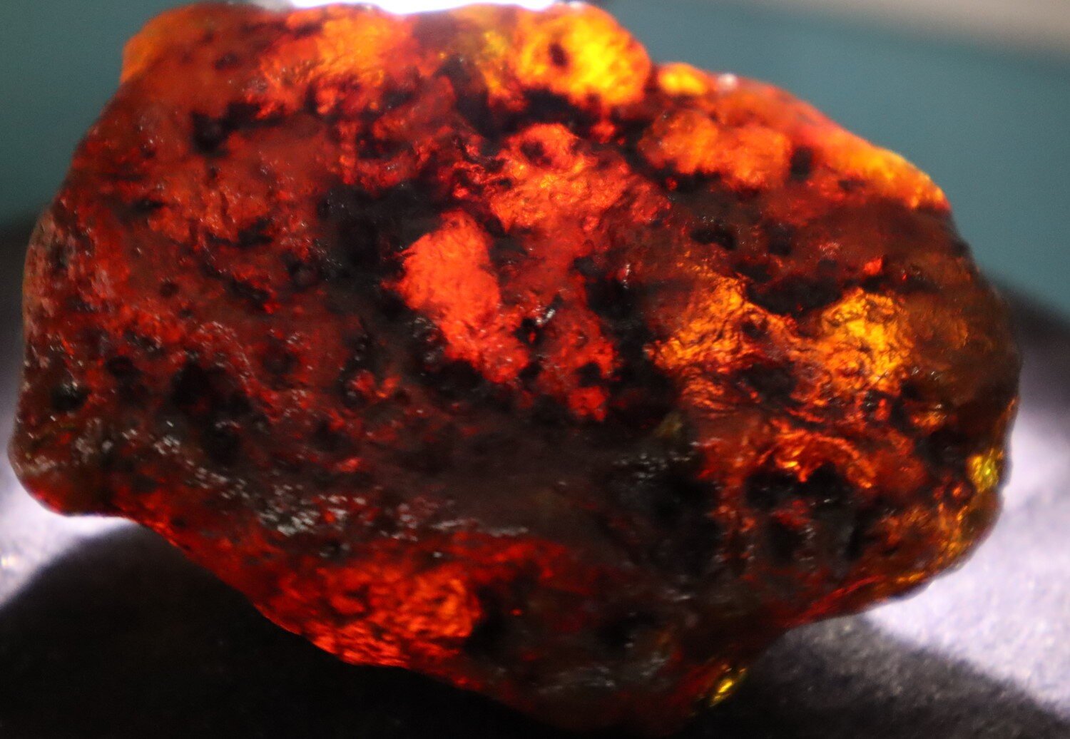 Charming Natural Dominican Translucent Green Blue Amber Rough Specimen 70mm 77g – photo 5