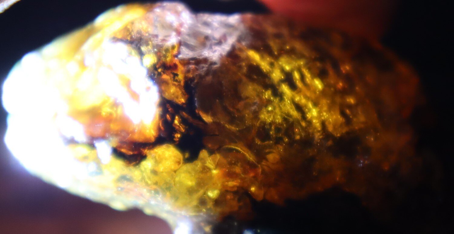 Beautiful Natural Dominican Translucent Green Blue Amber Rough Specimen 61mm 47g – photo 4