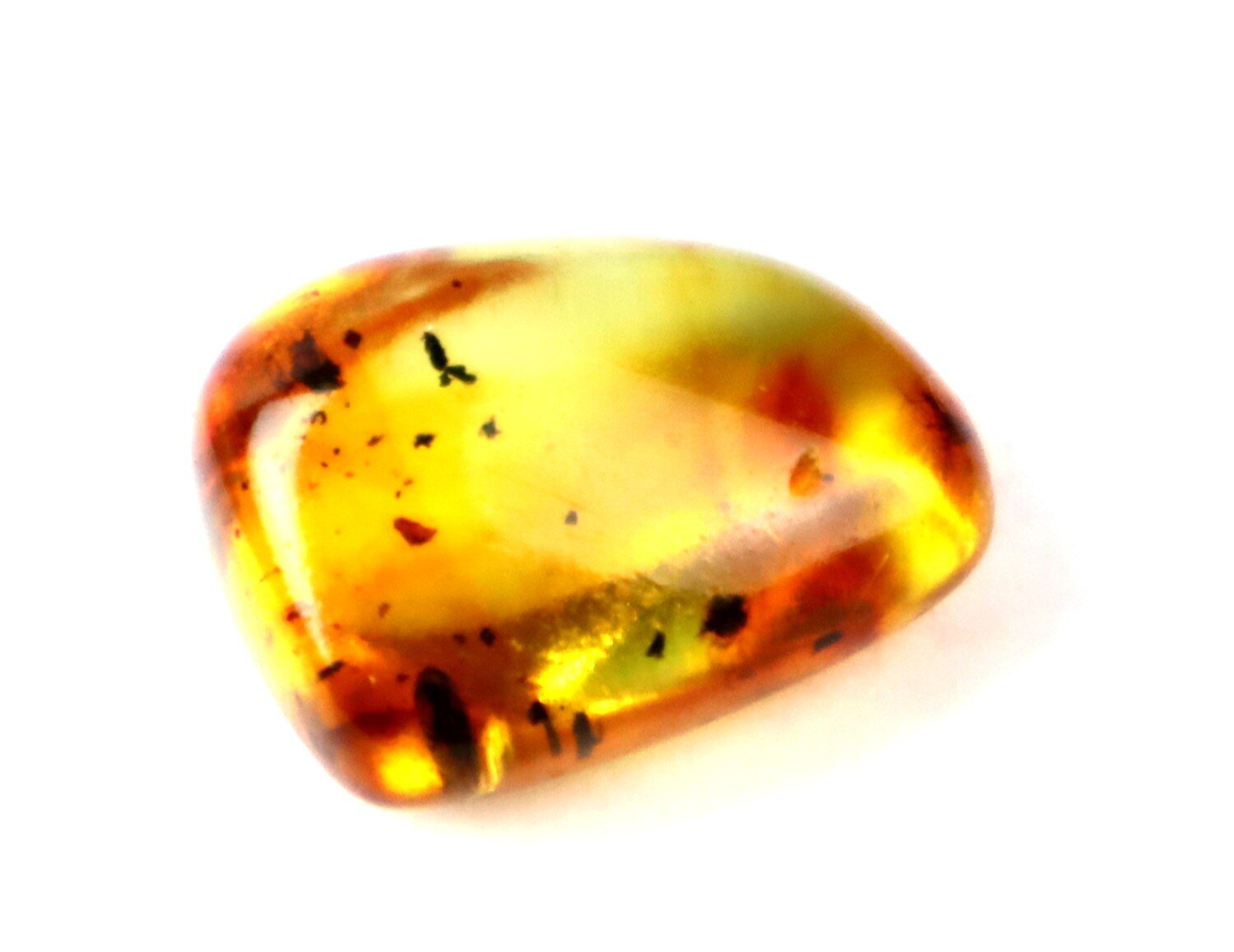 Natural Dominican Amber with Insect Inclusion – Polished Stone | 16mm – photo 3