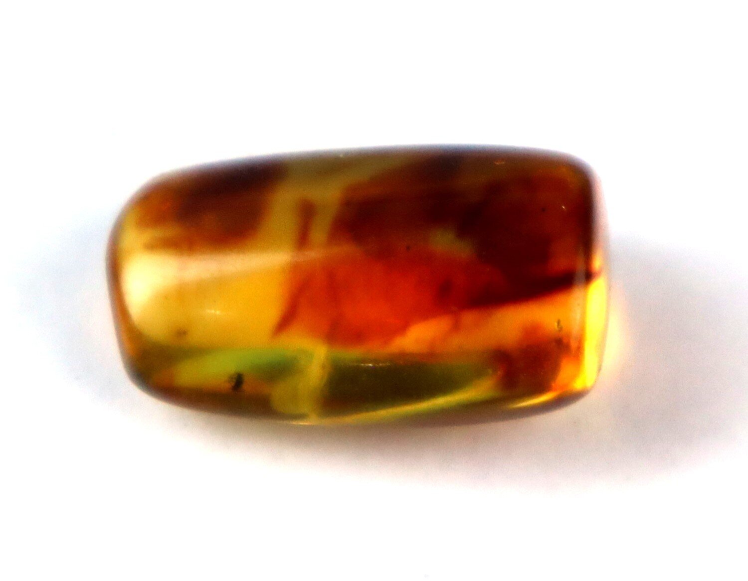 Natural Dominican Clear Amber – with Mosquito/Midge Inclusion (Diptera) | 20mm – photo 3