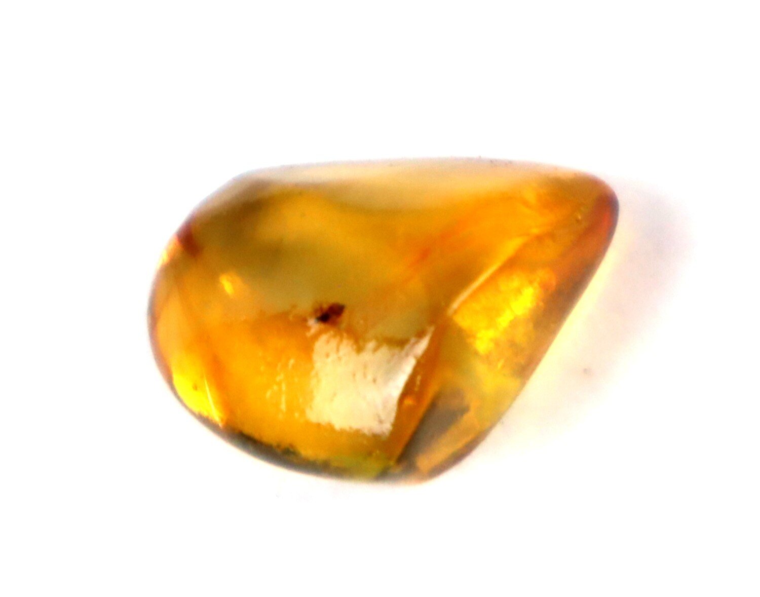 Natural Dominican Clear Amber – with Fly/Midge Inclusion (Diptera) | 15mm – photo 6
