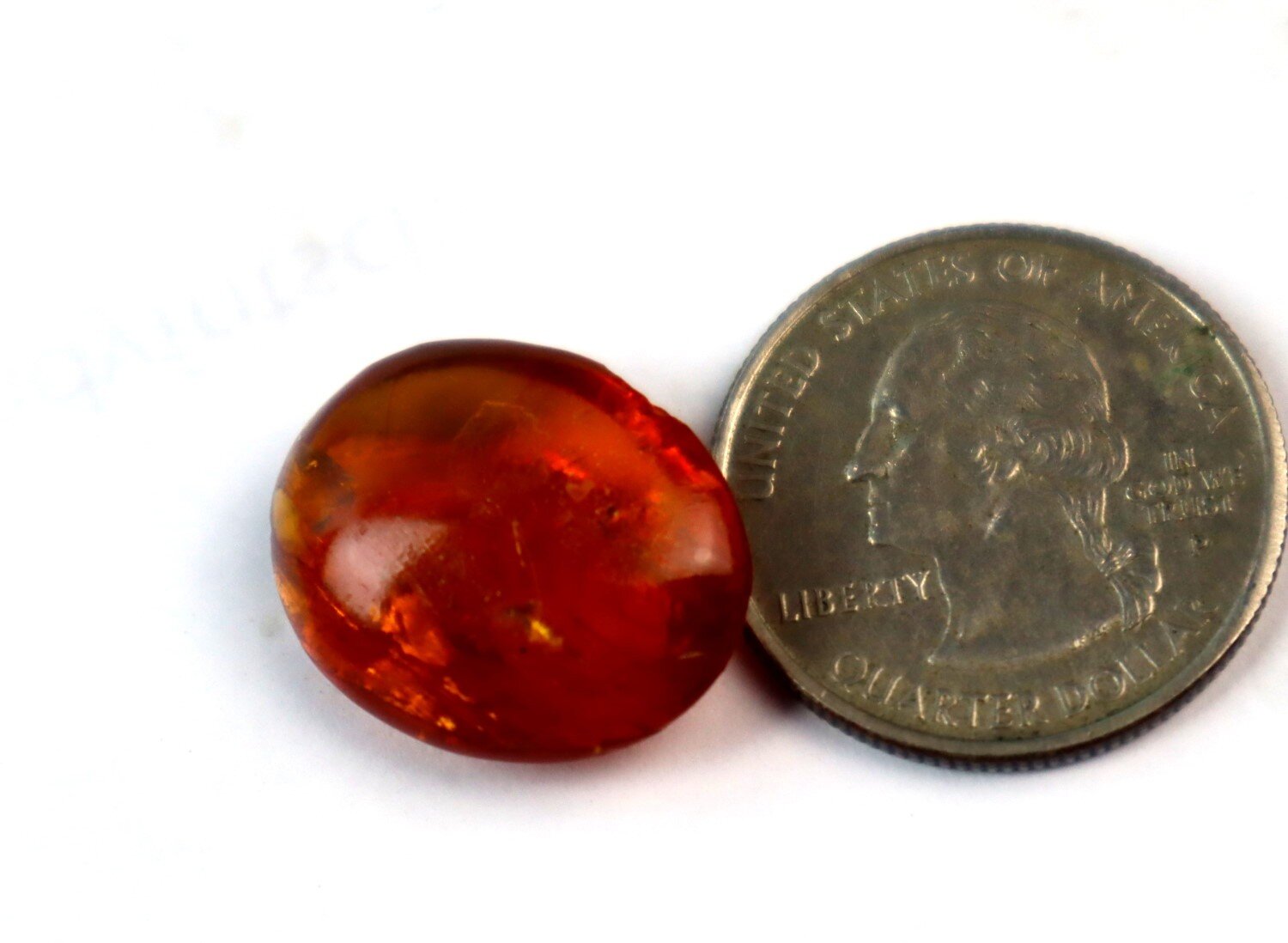 Beautiful Natural Dominican Red Amber – Fossil Mosquito Inclusion 21mm – photo 4